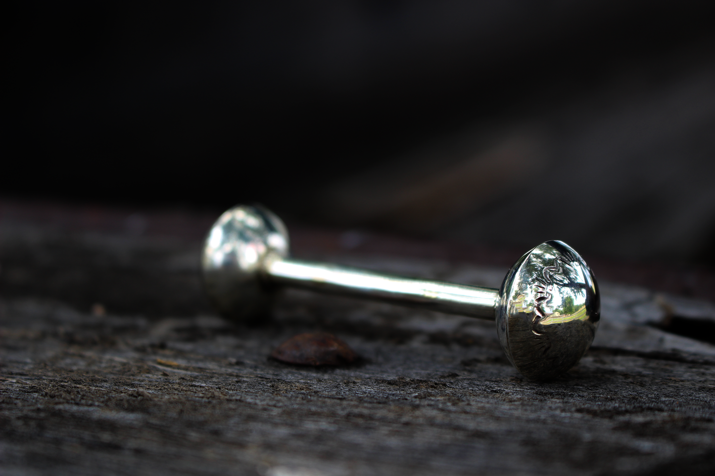 Silver Rattle