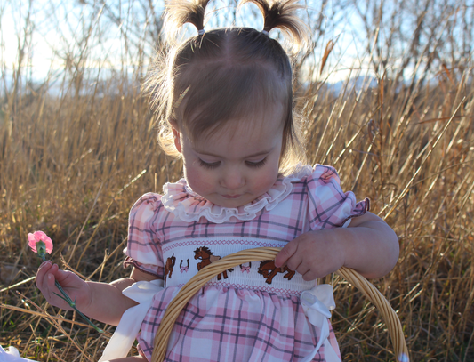 Sweet Spring Embroidered Smocked Plaid Romper