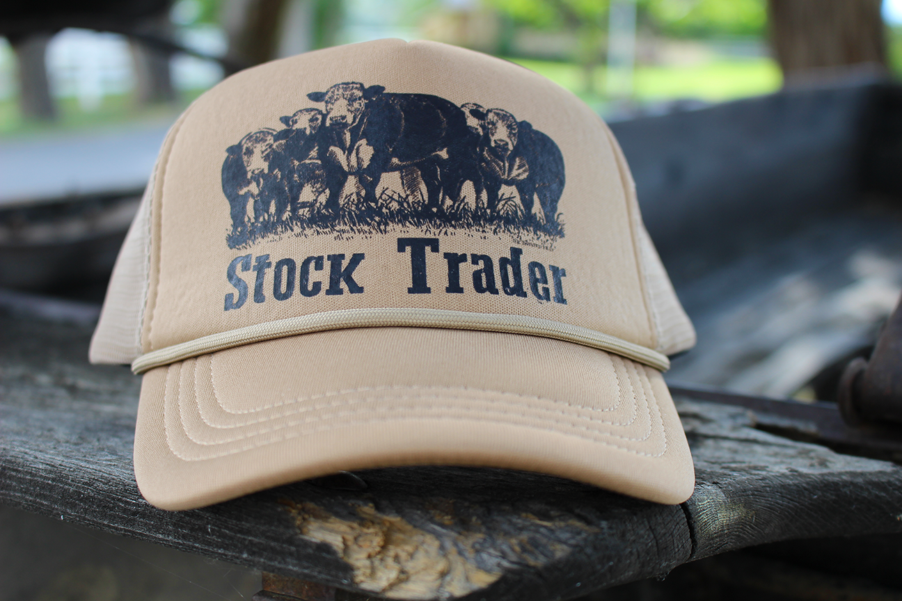 Stock Trader Snapback