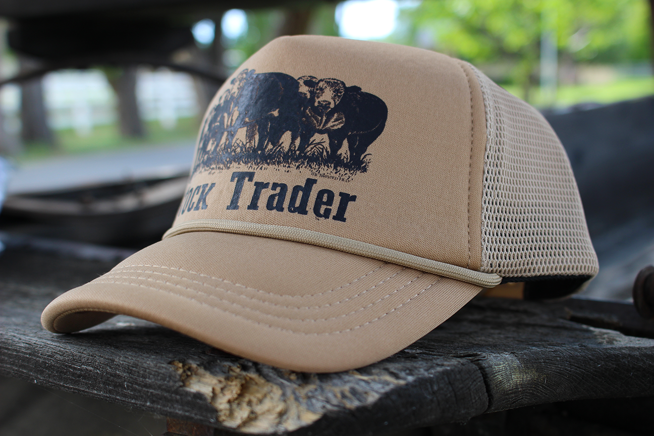 Stock Trader Snapback